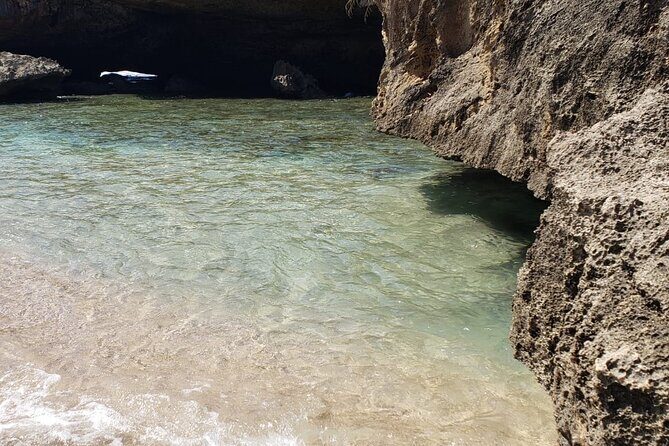 Hidden Gems of the North, Puerto Rico Private Tour - The Crystal Spring Swim: A Short Hike to Fresh Water