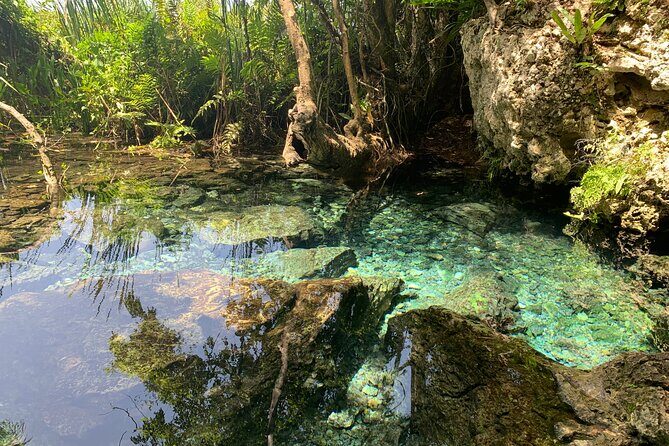 Hidden Gems of the North, Puerto Rico Private Tour - Price and Value: Is $199 Worth It for a Private Tour?
