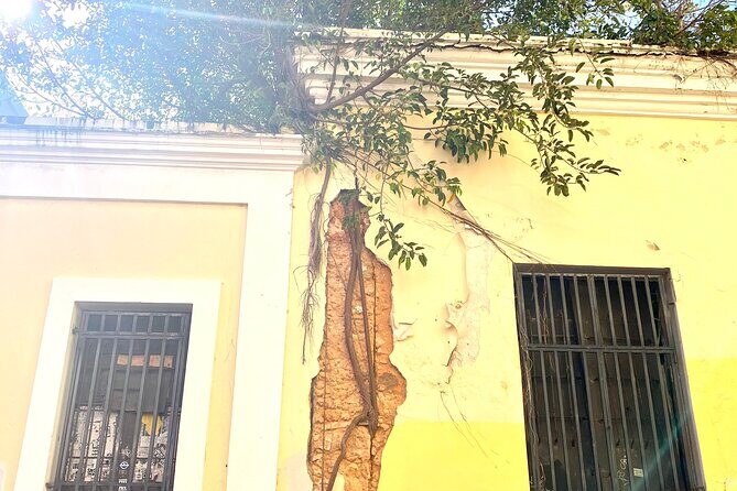 Instagramable Places in Old San Juan Tour - Paseo de la Princesa: the scenic promenade that frames the whole town