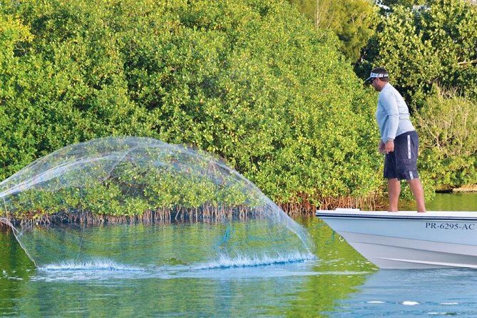 Light Tackle Tarpon Fishing - How the 4-Hour Charter Plays Out on Torrecilla and San Jose Lagoons