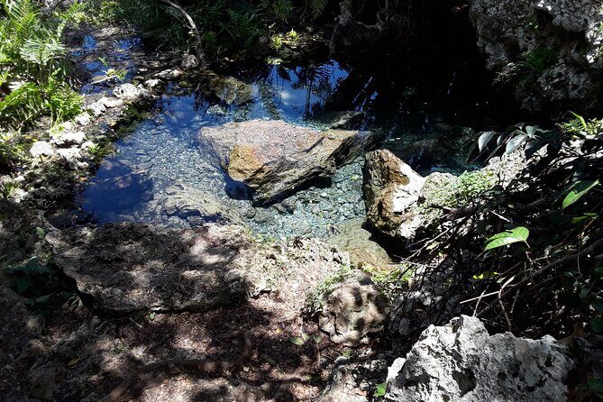 Mountain Bike tour to a Pristine Spring and Cave - Vega Baja’s Spring Swim and Cave Exploration