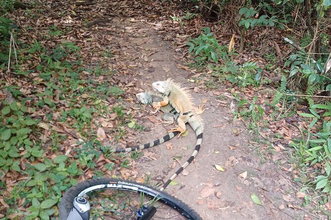Mountain Bike tour to a Pristine Spring and Cave - Why Edwin’s Guide Style Matters on the Trail