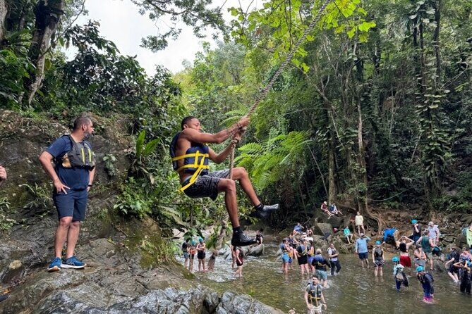 "Off the beaten path" Rain Forest Guided hike with Transportation - Getting To El Yunque: Pickup, 9:30 Start, and Mobile Tickets