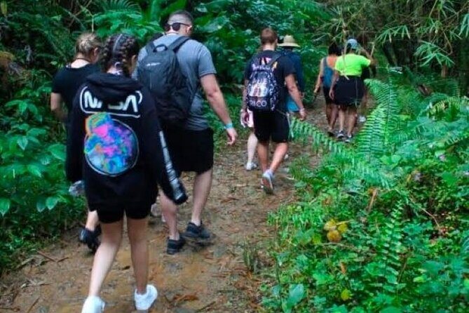 "Off the beaten path" Rain Forest Guided hike with Transportation - FAQ