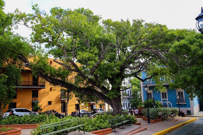 Old San Juan Walking Tour with Fort: 8+ people group - Entering San Cristobal Fort With a Certified Guide Inside
