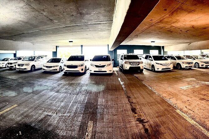 One-way transfer from SJU Airport to Cruise Port or Vice Versa - Private Transfer Comfort: Just Your Group, Not a Waiting Game