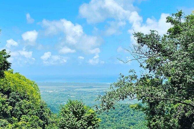Private El Yunque Tour To Hidden Waterfall Remote Area - Who should book this private El Yunque waterfall hike