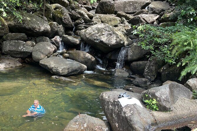 Private El Yunque Tour To Hidden Waterfall Remote Area - Getting to the rainforest: timing and meeting point