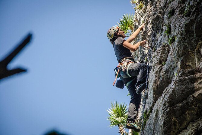 Private Guided Rock Climbing Trips in Puerto Rico - Price and Value: $165 Private Instruction + Real Routes Nearby