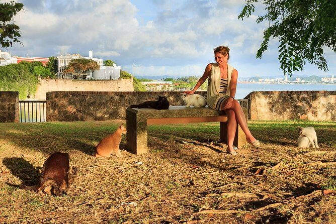 Private Old San Juan Walking Tour - Cuartel de Ballajá: moving from Spanish troops to today’s culture