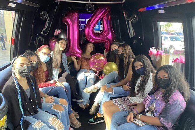 Private Party Bus Tour in Puerto Rico - Who This Tour Fits Best