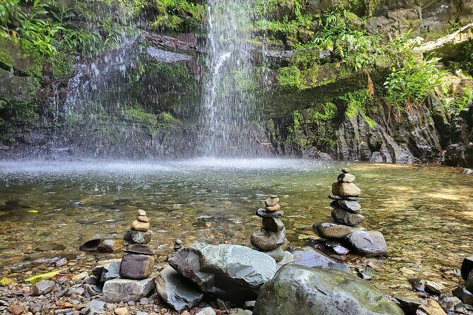 Private Rainforest Waterfalls and Beach Hiking Tour from San Juan - The Private Format: Less Waiting, More Guide Time