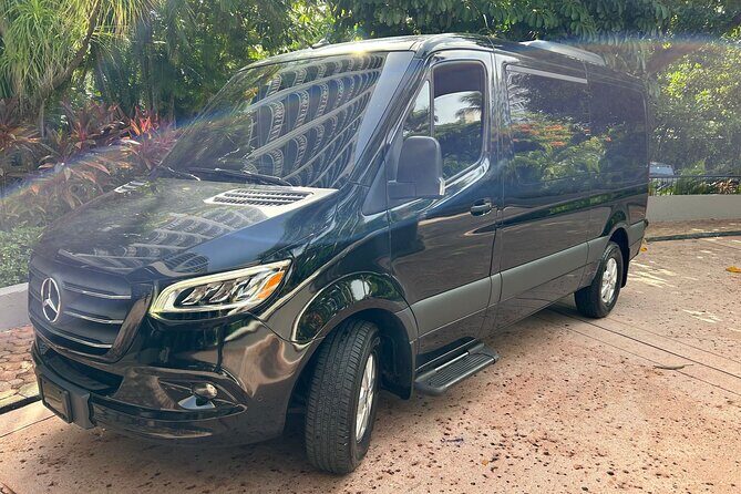 Puerto Rico Island Wide Private Transfers, 11Pax Lux Sprinter Van - Pickup That Actually Makes Sense: Baggage Claim and Terminal Exit