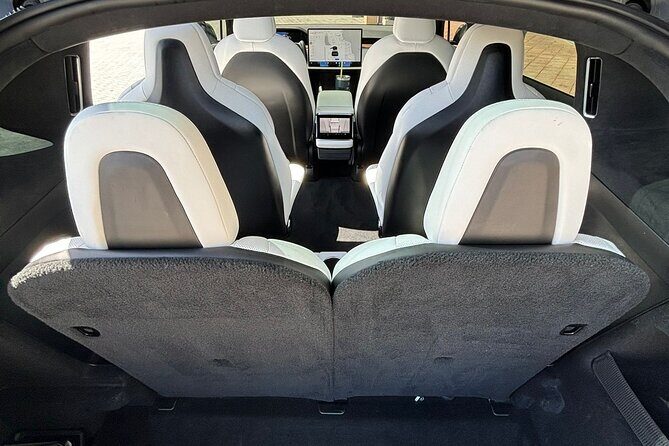 Puerto Rico Island Wide Transfer, Tesla Model X Luxury SUV. - Driver Quality: The Kind of Praise You Want to See