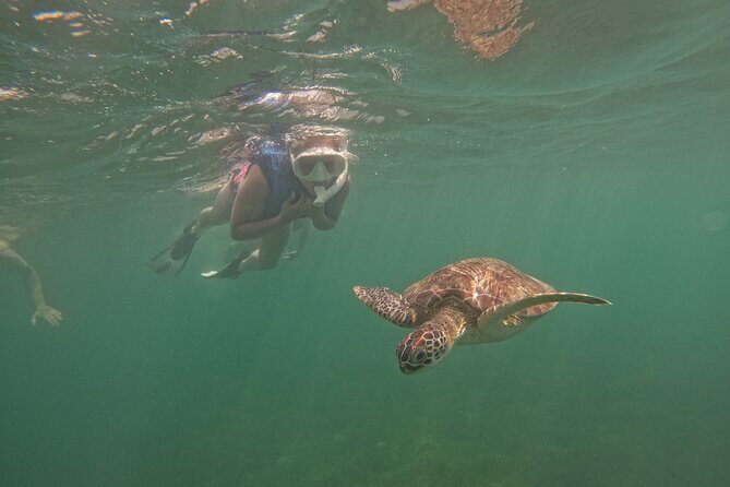 Puerto Rico Jet Snorkel with Turtles and Videos in San Juan - Photos and Videos Without the Phone Panic