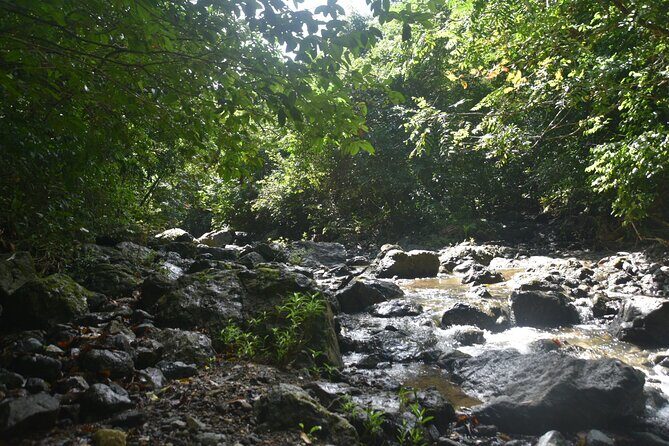 Puerto Rico Waterfall Hiking Tour: Discover Hidden Gems 2.0 - Price and value: is $80 a fair deal?