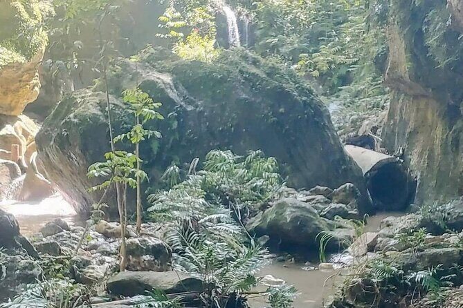 Rainforest Caves and Waterfalls Exploration with Transportation - Who Should Book This, and Who Should Rethink It