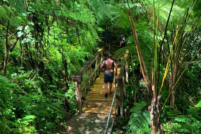 Rainforest Nature Walk & Luquillo Beach Combo - Luquillo Beach Kiosks: Two Hours to Eat, Relax, and Reset