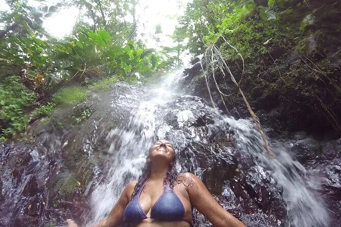 Rainforest River Hike and Waterfalls Adventure - Price and value: What $80 buys in time, safety, and experience