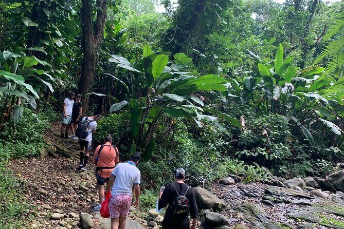Rainforest River Nature Walk Adventure and Luquillo Beach - Catarata La Coca: a dramatic waterfall stop that sets the tone