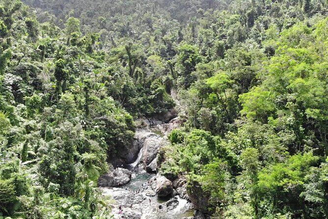 Rainforest River Nature Walk Adventure and Luquillo Beach - El Yunque National Forest and Puente Roto: the Rio Mameyes side of the story