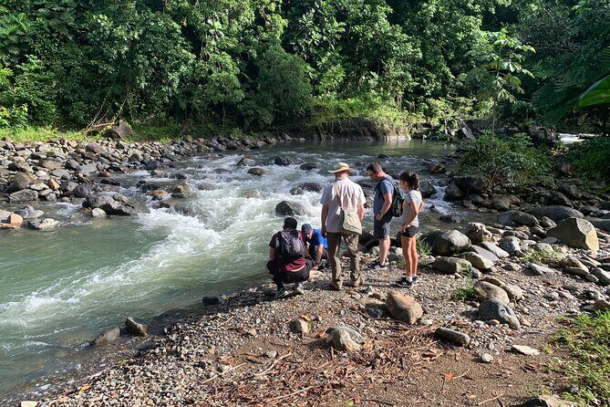 Rainforest River Nature Walk Adventure and Luquillo Beach - Torre Yokahu: why a 69-foot tower beats guessing the forest