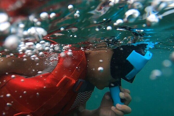 San Juan: Kids and Family Snorkeling Adventure with Videos - Shore Snorkeling Basics in San Juan (No Boat Needed)