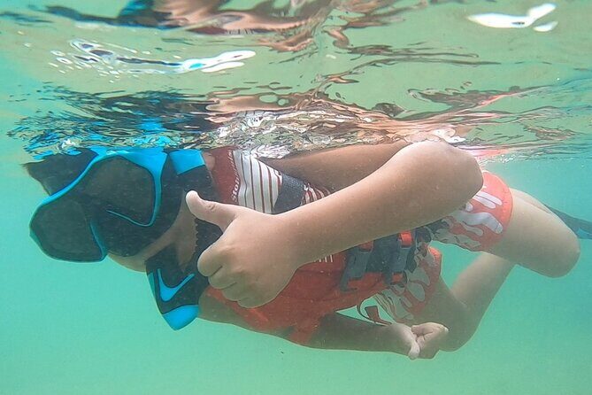 San Juan: Kids and Family Snorkeling Adventure with Videos - Juvenile Fish First, Then Green Sea Turtles (How the Guide Chooses Depth)