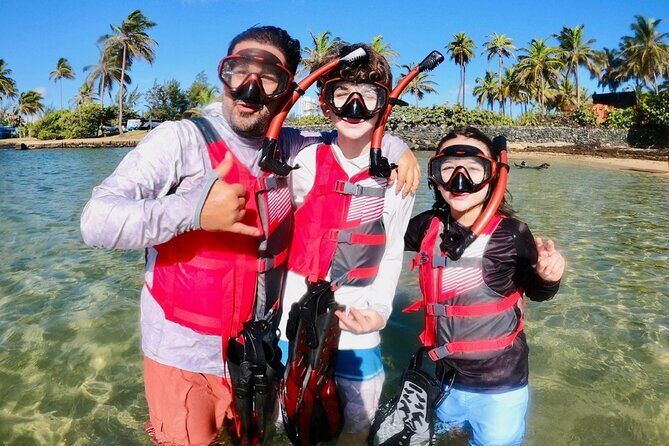 San Juan: Kids and Family Snorkeling Adventure with Videos - Price and Value: $45 Includes Gear, Life Jacket, and Free Videos