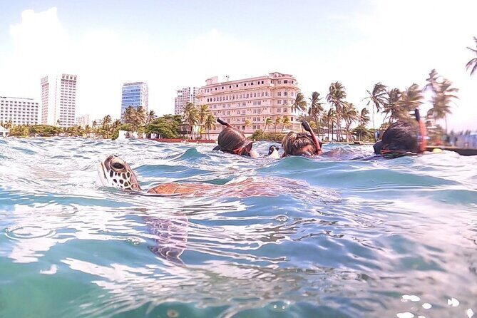San Juan: Kids and Family Snorkeling Adventure with Videos - Who This Family Snorkeling Adventure Is Best For