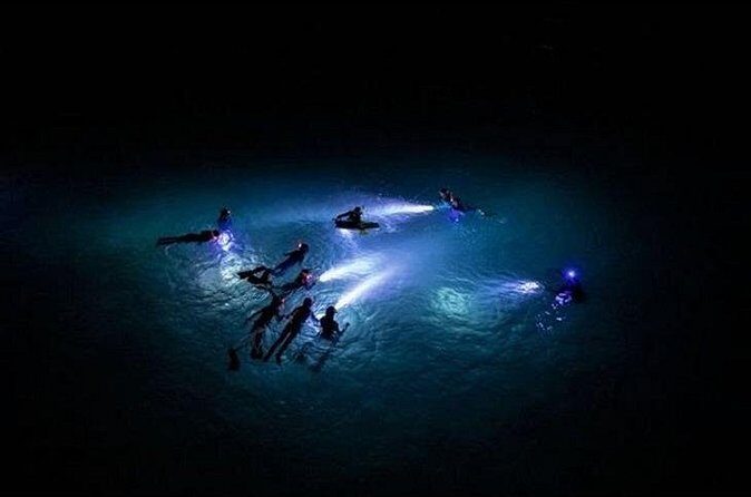 San Juan LED Night Snorkel - Value check: is $70 worth it in San Juan?