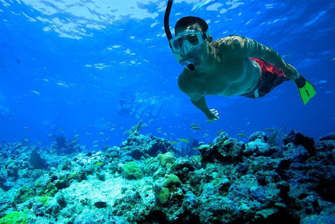 San Juan | Paddleboard | Kayak | Snorkeling | Guided Tours - Key takeaways before you go
