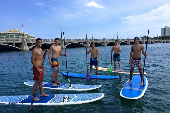 San Juan | Paddleboard | Kayak | Snorkeling | Guided Tours - Picking Your Ride: Single/Double Kayaks and Stand-Up Paddleboards