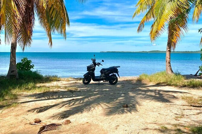 Scooter Rental San Juan Puerto Rico - Should You Book This Scooter Rental Tour in San Juan?