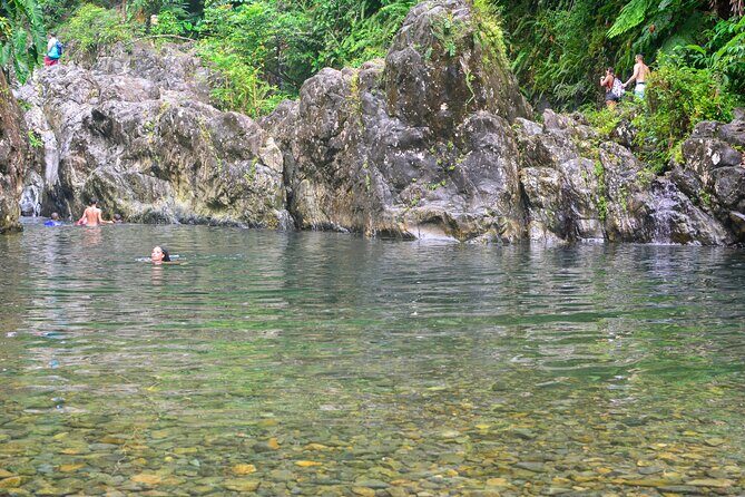 Small-Group El Yunque Rainforest Vivid Day Tour with Transport - Entering El Yunque’s Water-First Rhythm (Not a Long Bus Tour)
