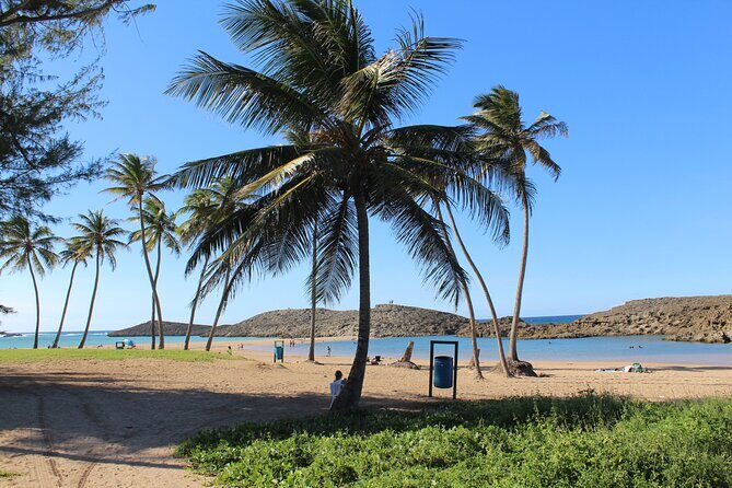 Small-Group North Coast Beach Hopping Adventure in Puerto Rico - Vega Baja Chinchorreo: A 45-Minute Local Food and Drink Stop
