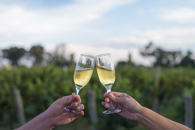 The Wine Route from San Juan - Key things I’d plan around before you go