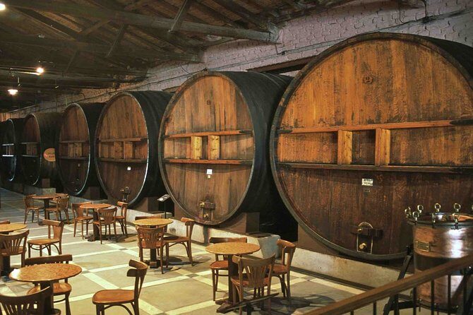 The Wine Route from San Juan - Getting around and staying comfortable: transport, language, and pace