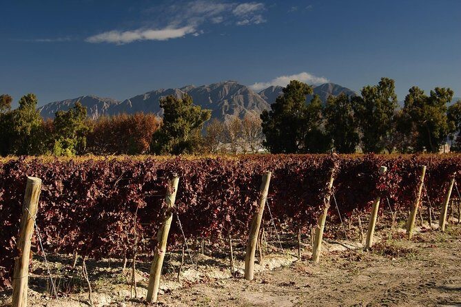 The Wine Route from San Juan - The first stop set-up: the Province of San Juan intro