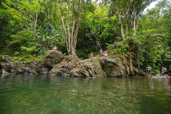 Top Rated El Yunque Rainforest & Waterslide – SmallGroup Tour - East El Yunque Walk to the First Waterfall and Rope Swing