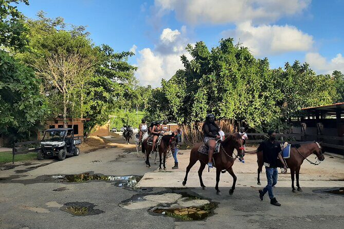 Transfer from San Juan, Rio Grande, Loiza, Luquillo or return - Who This Transfer Fits Best