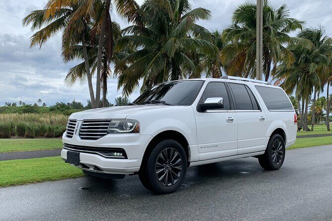 Transfer TO or FROM: Airport,Cruise,Hotel in DORADO or RIO GRANDE - Meeting the driver at Luis Muñoz Marín Airport: what to expect