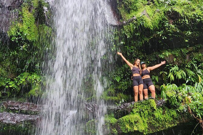 Tropical Rainforest Wonders Full Day Experience from San Juan - Stop 1: Cascada Las Delicias and that clean-water reputation