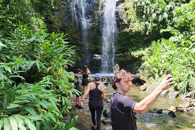 Tropical Rainforest Wonders Full Day Experience from San Juan - Toro Negro State Forest: the drive that makes it feel like more than three stops