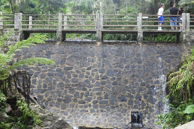 USDA El Yunque National Forest and Luquillo Beach Tour - Torre Yokahu: a 69-foot tower and forest views with a backstory