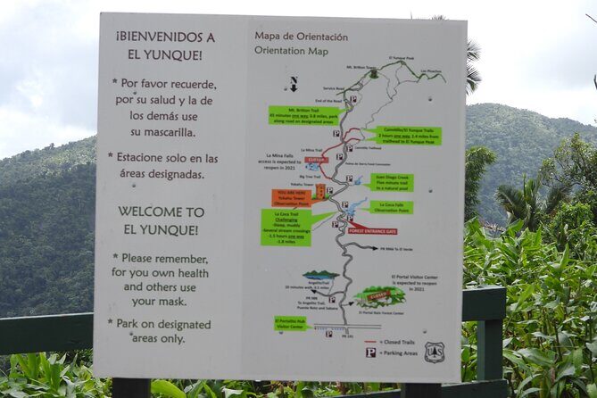 USDA El Yunque National Forest and Luquillo Beach Tour - El Yunque walking time and the river swim moment