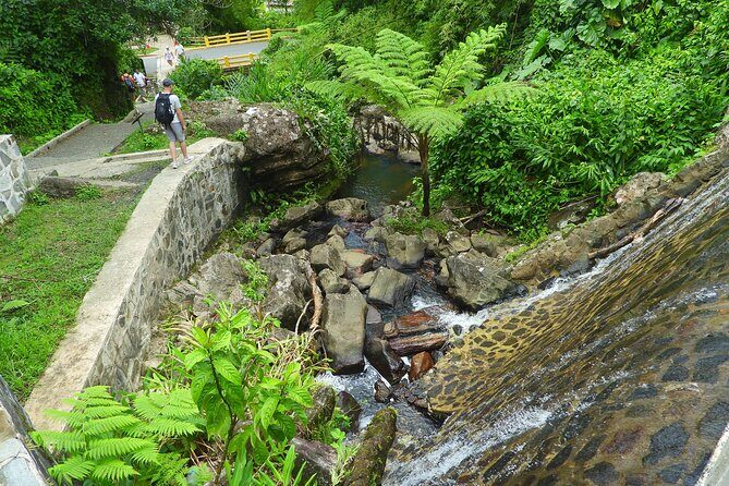 USDA El Yunque National Forest and Luquillo Beach Tour - Luquillo Beach and the kiosks: your two-hour breather