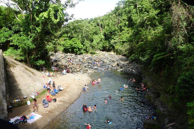 USDA El Yunque National Forest and Luquillo Beach Tour - The guide experience: when it turns from sightseeing to a story