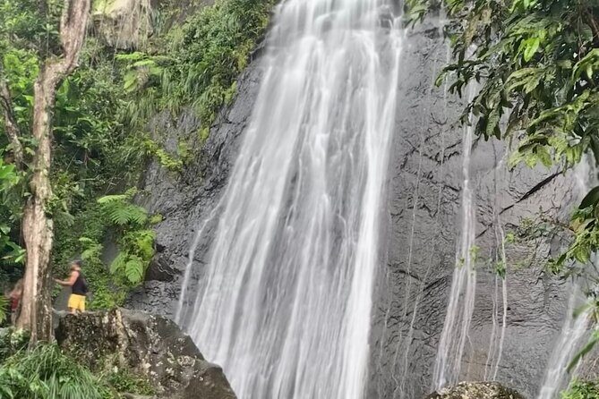 USDA El Yunque National Forest and Luquillo Beach Tour - Catarata La Coca: the waterfall stop that sets the tone