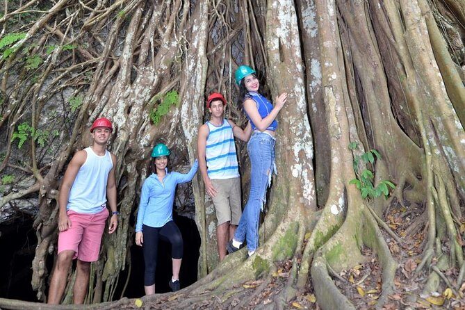 Window Cave Walking Tour from San Juan - Cueva Ventana: a cliffside cave with a view